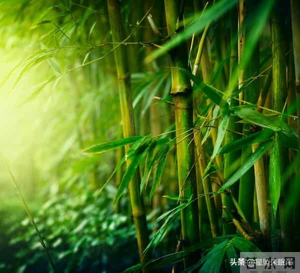 两性关系，男人没老婆，生活一地鸡毛，女人没男人，照样风生水起