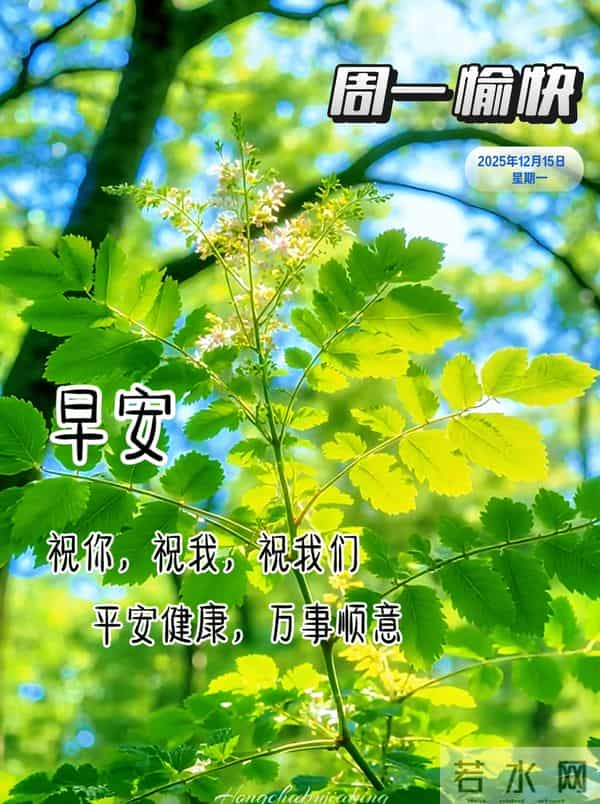 2025年12月15日周一早安 早上好图片最新今天 温馨淡雅的早安图片