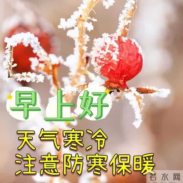 12月15日冬天问候早安暖心句子，心态好正能量句子，冬日安康幸福