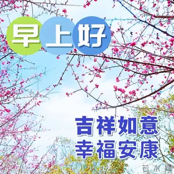 12月16日早安问候简短，早上好吉祥祝福，快乐每一天，早安天天见