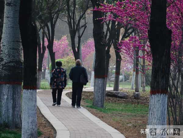 63岁大爷诉苦：搭伙过两个女人后我才明白，女人老了都不“省心”