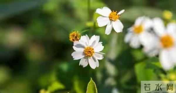 人到了一定年纪,你要知道一个道理,天大的事,只要顺其自然…