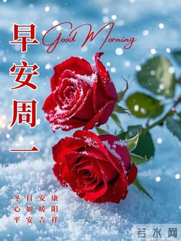 2025.12.15 冬天周一早上好!最新精美周一早安愉快温馨祝福图片