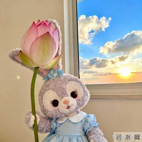 3个独来独往的生肖，人品特别可靠，看谁都自来熟的，要提高警惕