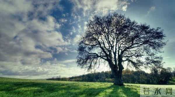 两性关系：夫妻到七十岁不分居？只有三种人能做到，你是哪一种！