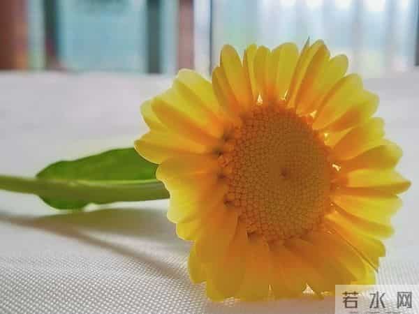 第三名白羊座：12月16日起15天，想对你说句掏心窝的实在话