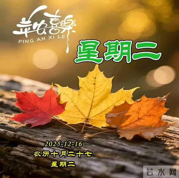 周二早安美图-一字一句总关情，一朝一夕皆圆满。