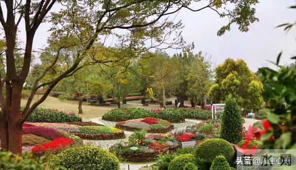 两性关系-55一65岁黄金十年，最高级的惜命，是修好这6颗“心”