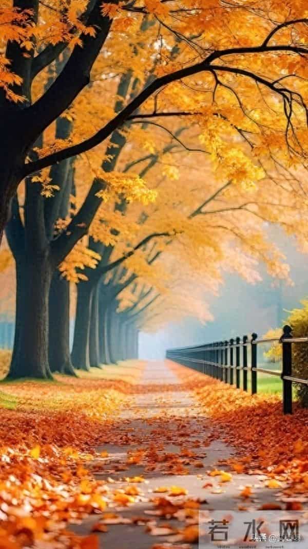 善心-该给那些懂得弯腰接住的人，