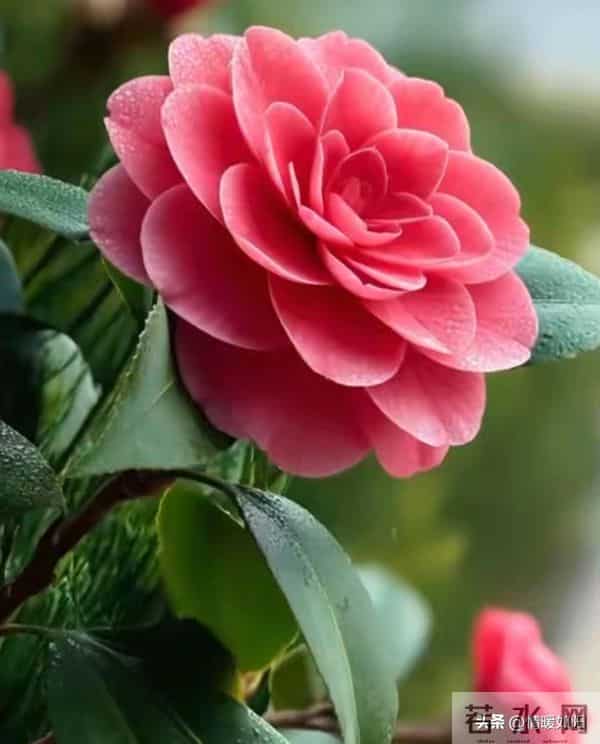 两性关系：不会走散的情人，都守着这3大规律