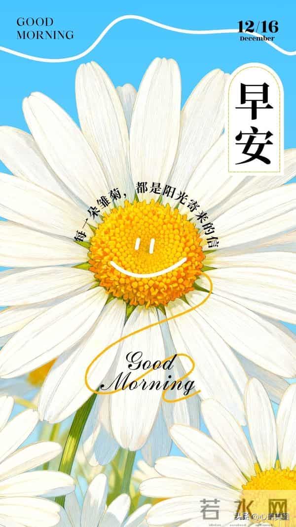 早安正能量图片文案:你要的未来,只能靠你杀出来