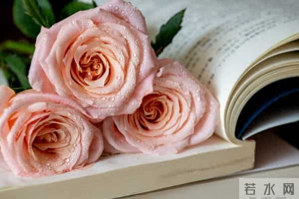 将你的名字写在纸上，枕着你的名字入眠