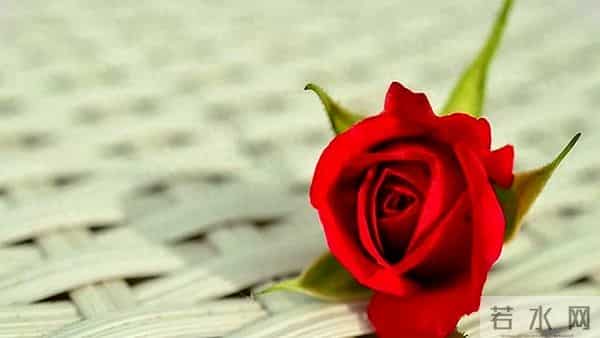 辰龙，12月15日，星期一，不要怀疑，这是天意了