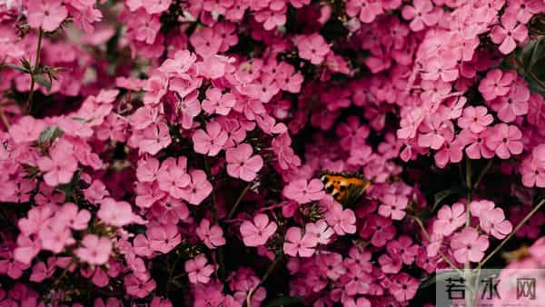 亥猪，人算不如天算，12月16号最大的坎，可能不是事，而是人！