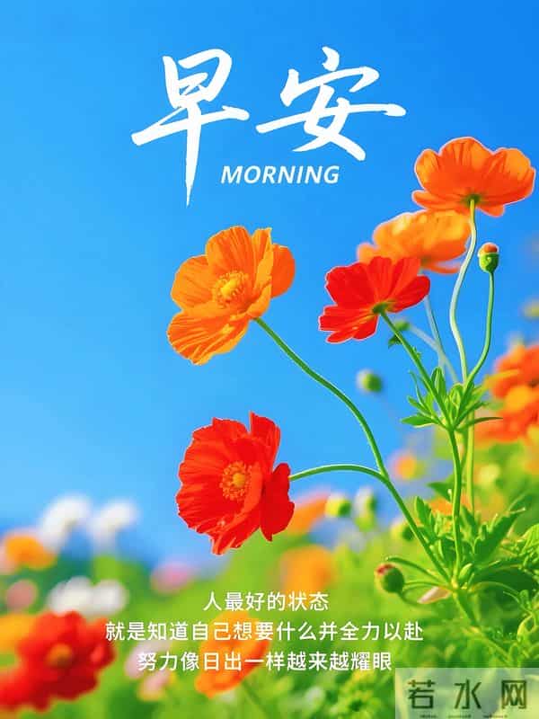 18句清晨暖心祝福,晨光送暖、惦念相伴,愿你平安顺遂,笑口常开