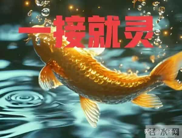 你的贵人早已来到，只差你一个签收动作