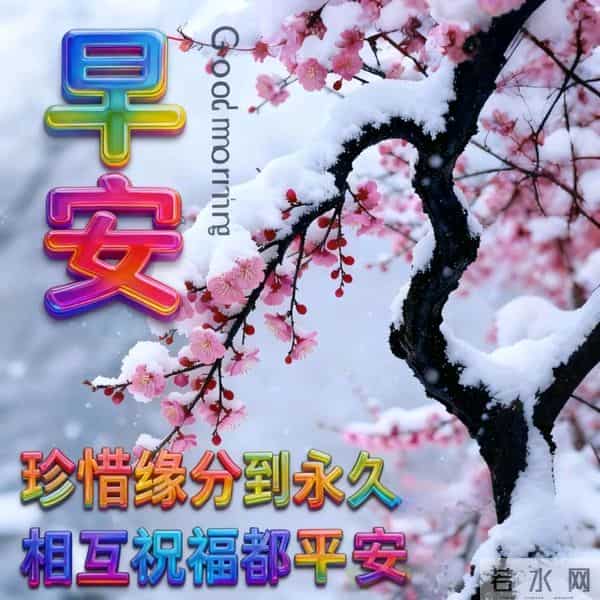 一声平安心中甜，彼此惦念皆是缘 真诚祝福日日传，只感温馨不觉单