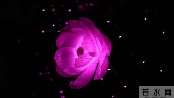 12月16日，星期二，未羊，有惊喜发生了