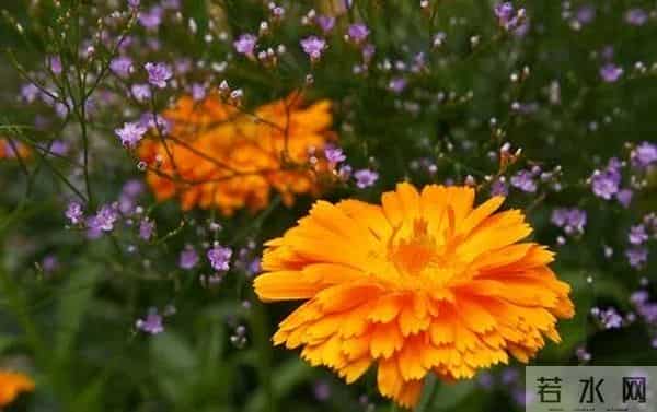 永远不要穿别人的旧衣服，这3个原因，你不得不知