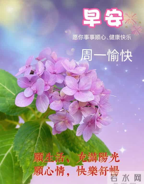 2025年12月15日早上好 早安周一愉快 早安精美美图温馨祝福语 早上好