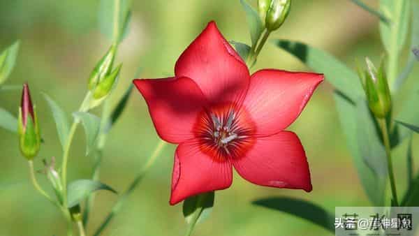 12月16日至12月22日，下周之后，亥猪，有事即将发生了！