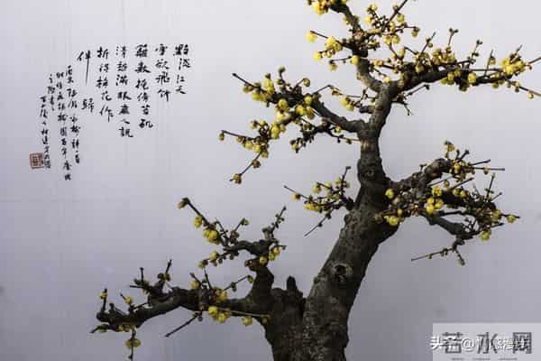 年过60,异性主动靠近不是桃花运,而是藏在岁月里的现实真相