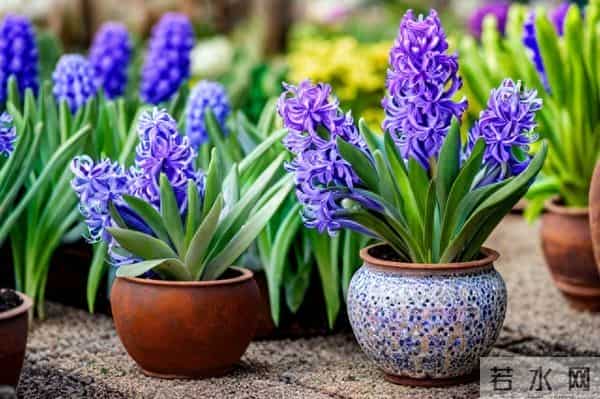 独一份的爱恋，只给你