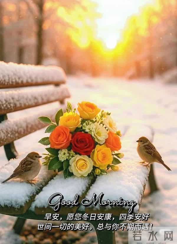 早上好早安祝福美图-冬藏福气，岁有余庆