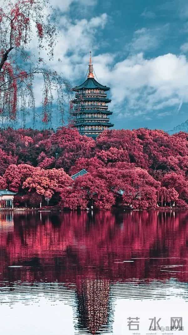 惊人的因果关系：男女之间，一旦发生了暧昧关系，一辈子也忘不了