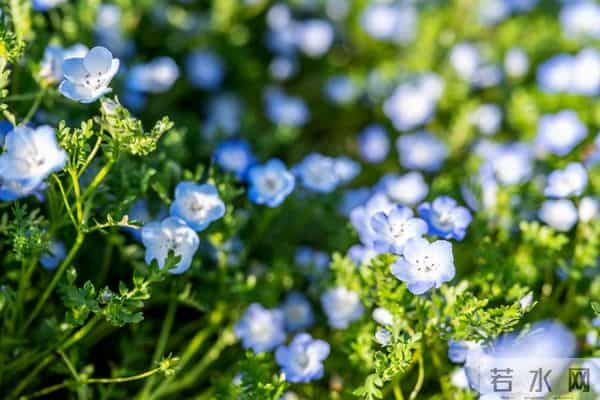 第二名：射手座，12月16号起，接下来4天，“惊喜大事”来敲门