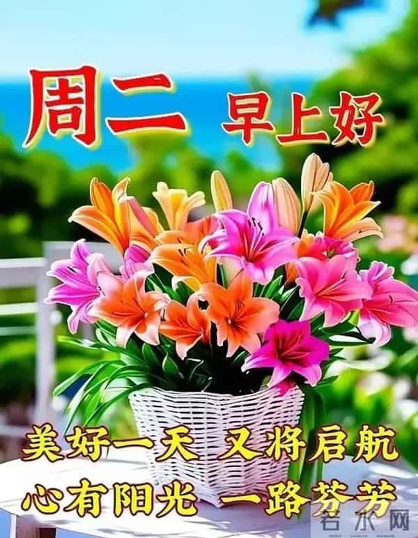 2025年12月16日早上好，早安吉祥，幸福安康，健康一生，幸福一生