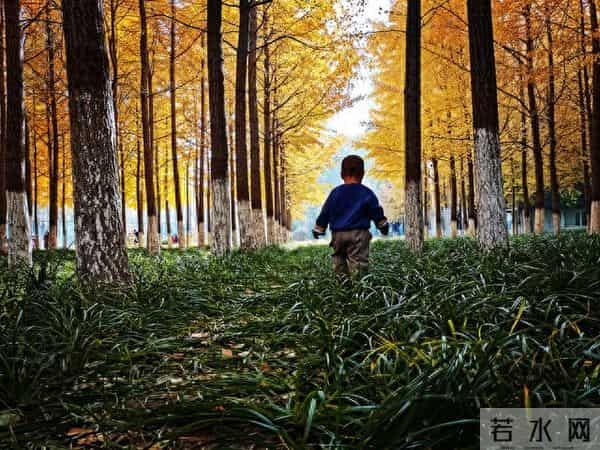 你的贵人早已来到，只差你一个签收动作