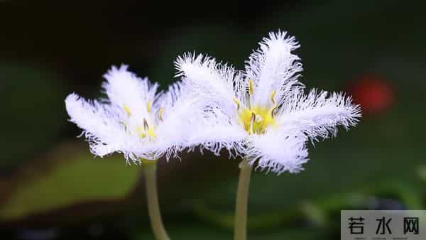 93岁母亲熬走了老大老二才明白,老人超过一定年龄要守住三个原则