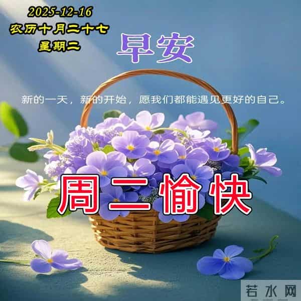 早安周二美图-问候是美丽的鲜花，惦记是情感的升华。