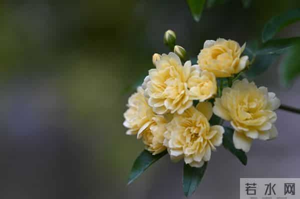 女人动了真情，身体会发出4个信号，再高冷也藏不住。