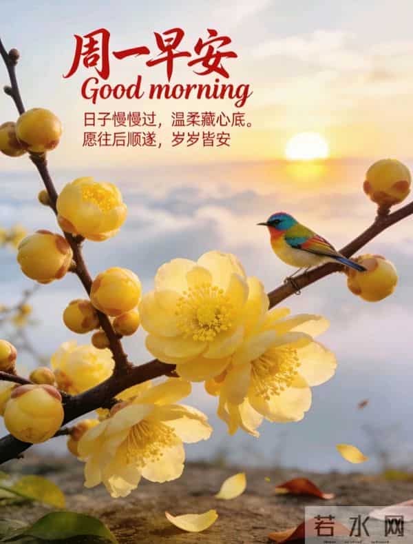 2025.12.15 冬天周一早上好!最新精美周一早安愉快温馨祝福图片