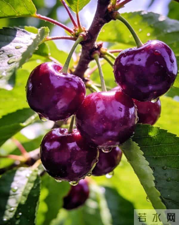 活得漂亮！这四个星座女，才是人间富贵花本花