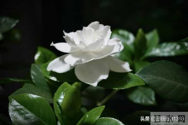 人这一辈子，想多了全是问题，做起来全是答案。