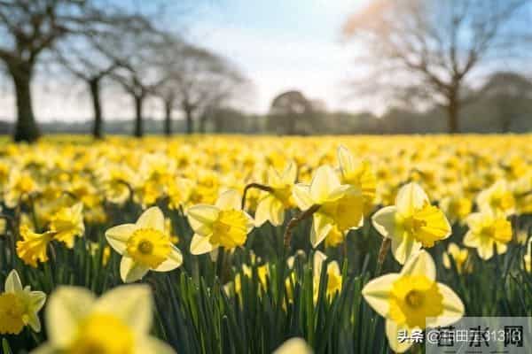 开心是一天，不开心也是一天，所以为什么，就不能开心一点