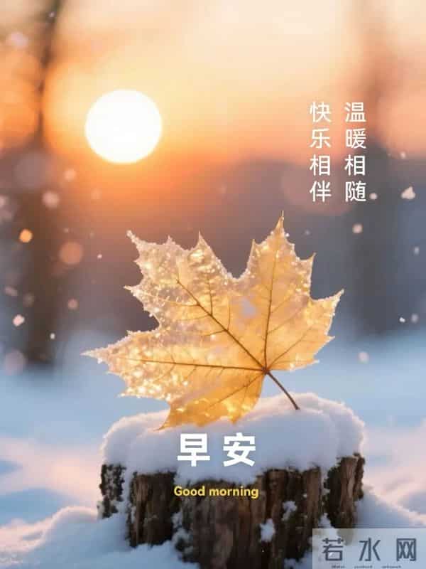 「2025.12.16」今日唯美早安祝福图片问候，温馨早上好祝福语