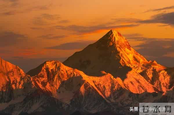 坚韧不拔的意志，金牛座