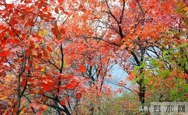 亲戚淡了,就淡了吧,人到中年的一些事。