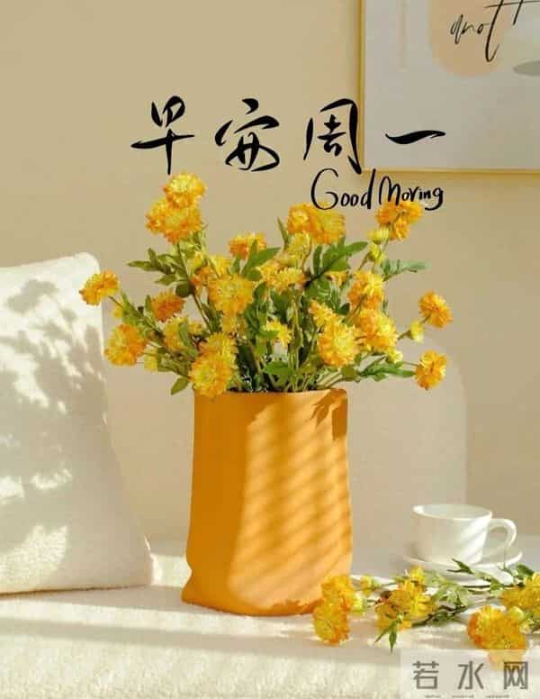 早安！新的一周，愿你的笑容比昨天更灿烂，生活比想象更美好！