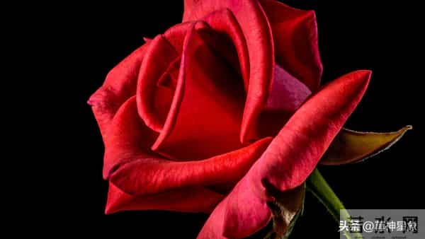 12月15日至12月21日，子鼠，下周之后，即将发生了！