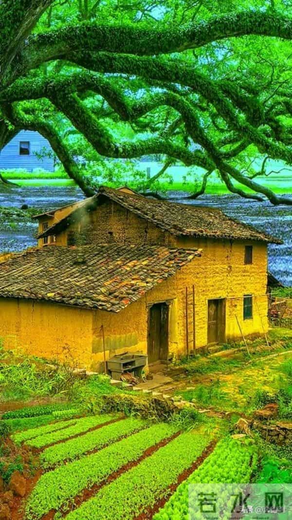 渐渐老去的70后,无论本事多大,过了五十岁,都要有这三个能力