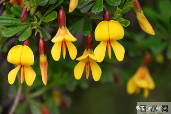 从今天起，所有霉运全部清零！未来日子，全是顺风顺水、别忘接收