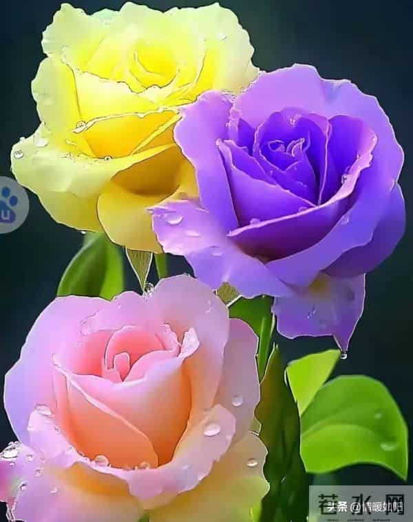 两性关系：不会走散的情人，都守着这3大规律