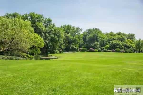 两性关系:如何在早上起床发一句,让异性惦记你好几天,别不懂!