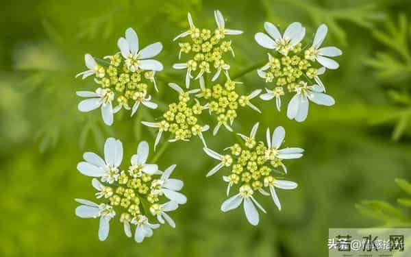 从今天起，所有霉运全部清零！未来日子，全是顺风顺水、别忘接收