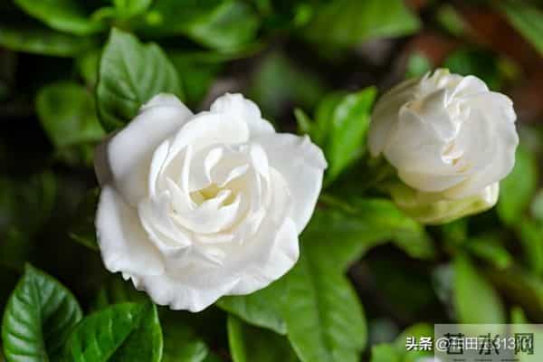 人这一辈子，想多了全是问题，做起来全是答案。